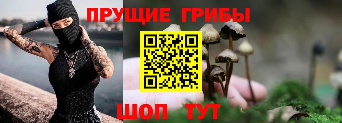 Псилоцибиновые грибы MAGIC MUSHROOMS  Вход с VPN  Псков 